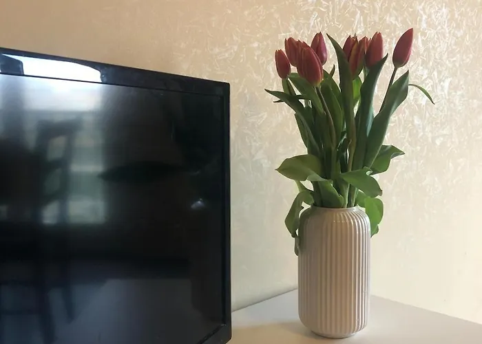 Myhomeinrome - Zona Re Di Apartment *